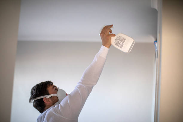 Mold Removal and Inspection in Addis, LA